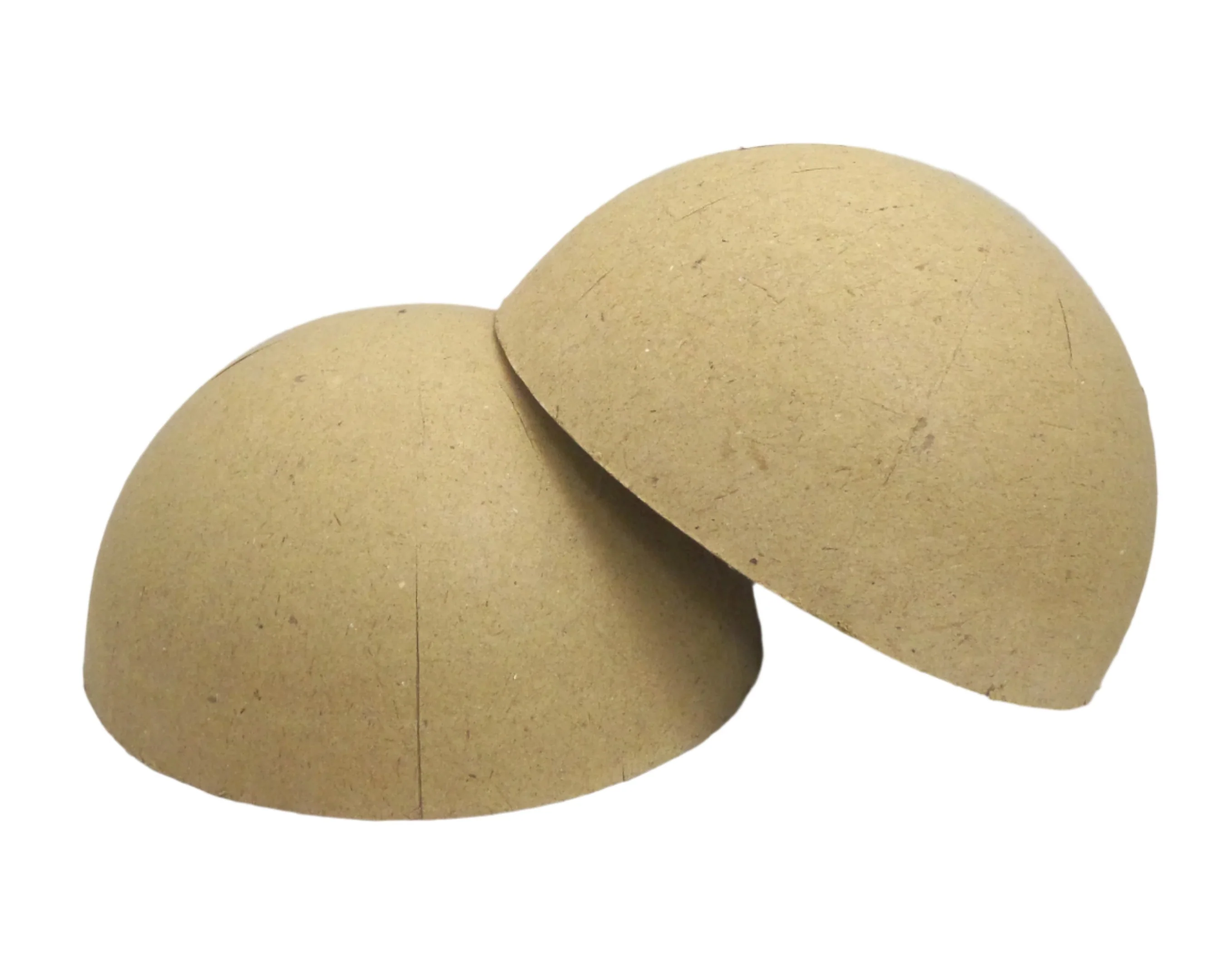 12 Inch Paper Shells