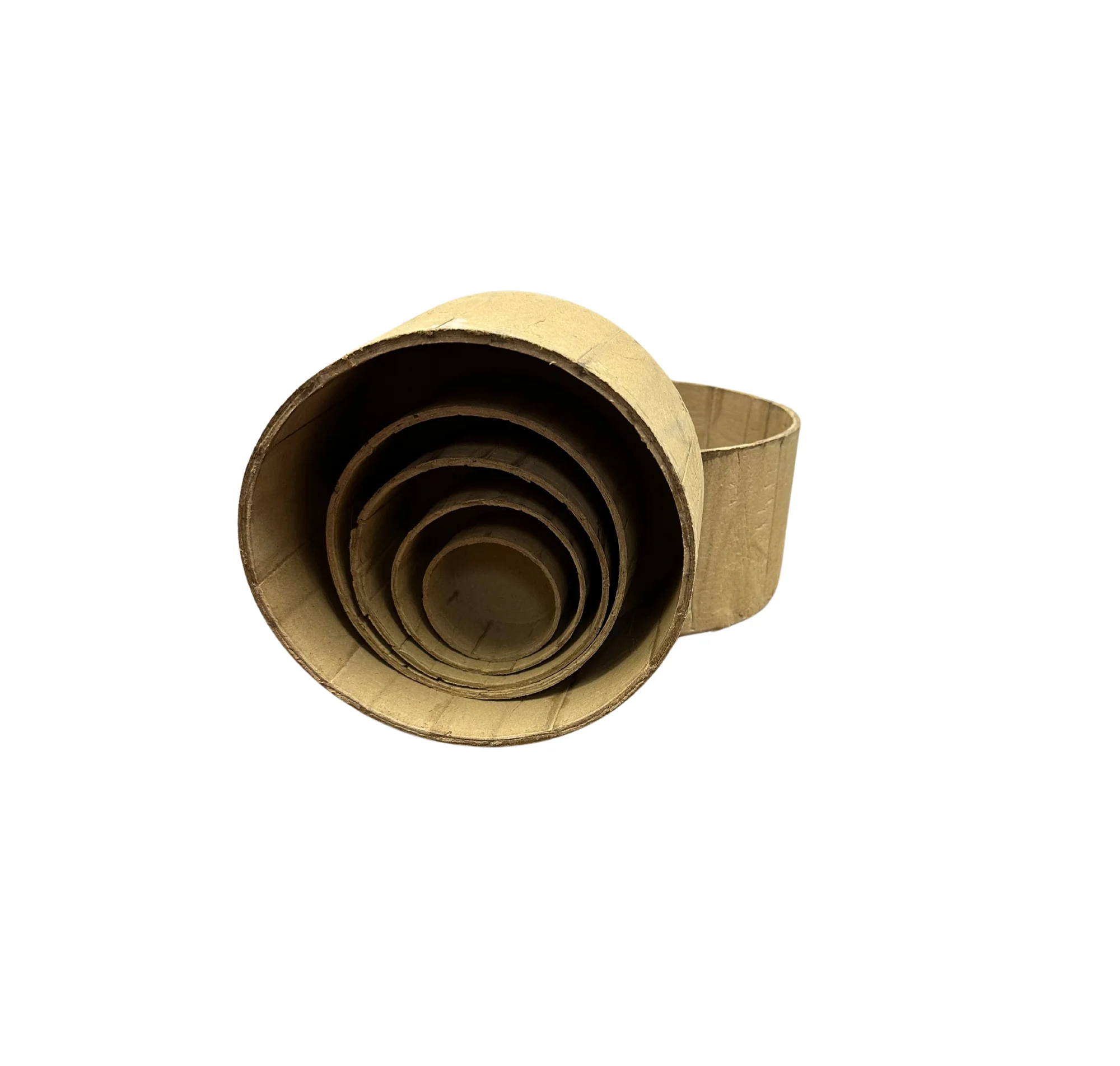 Cylinder Shell Variety Kit - Image 2