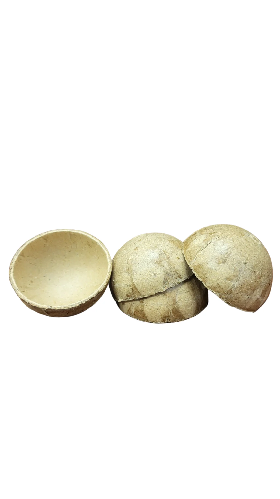 LIMITED Japanese 2 Inch  Paper Shells - 20 sets